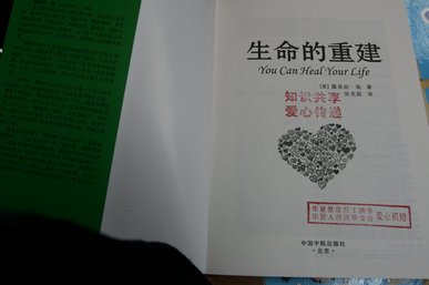 20101029151349473
